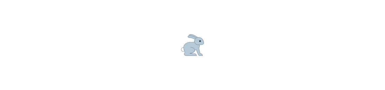 Rabbit mascot - mascot costumes biggymonkey.com