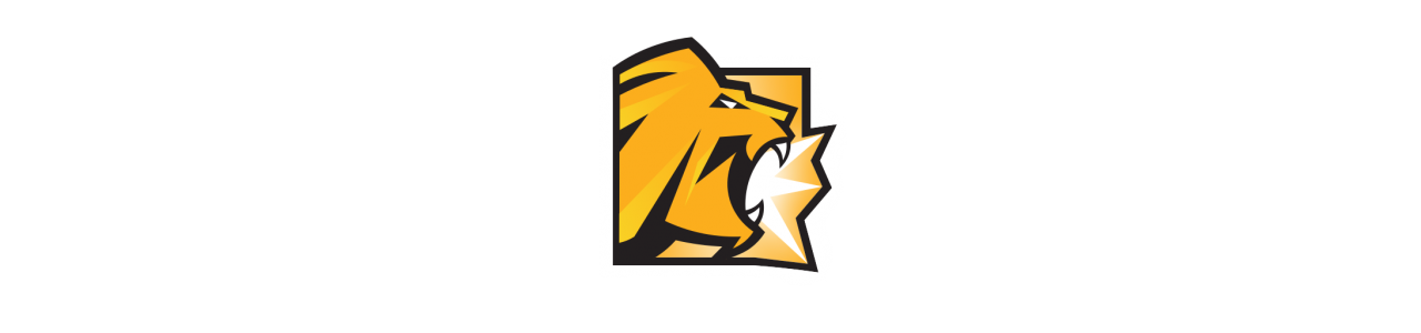 Lion King Mascot - Timon - Pumbaa - Maskotdrakter biggymonkey.com