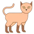 Kattemasker