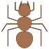 Mravenci mravence
