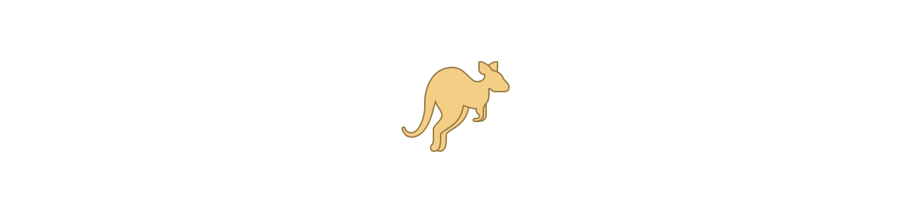 Kangaroo mascots - Mascot costumes biggymonkey.com 