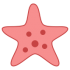 Starfish maskoter