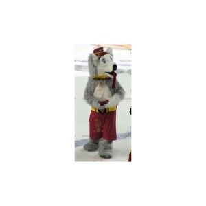 BiggyMonkey mascot: Gray and white wolf dog mascot. Discover @biggymonkey_mascots #mascots - Link : https://bit.ly/3linbWk - BIGGYMONKEY_0714 #white #mascots #mascot #event #costume #biggymonkey #marketing #customized #and #dog #costume #gray #wolf #custom https://www.biggymonkey.com/en/wolf-mascots/714-gray-and-white-wolf-dog-mascot.html