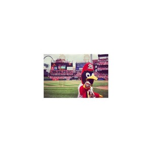 BiggyMonkey mascot: Blue yellow and red bird mascot. Discover @biggymonkey_mascots #mascots - Link : https://bit.ly/3linbWk - BIGGYMONKEY_0612 #mascots #mascot #event #costume #biggymonkey #marketing #customized #and #blue #red #yellow #costume #bird #c... https://www.biggymonkey.com/en/bird-mascot/612-blue-yellow-and-red-bird-mascot.html